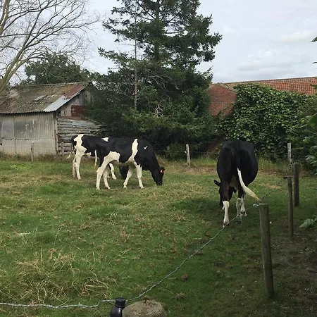 Vakantielogies Boerke Naas *