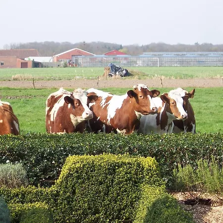 Hébergement de vacances Vakantielogies Boerke Naas *