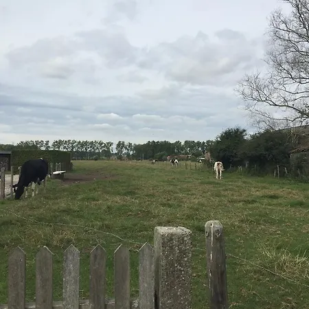 Vakantielogies Boerke Naas Hébergement de vacances Bruges
